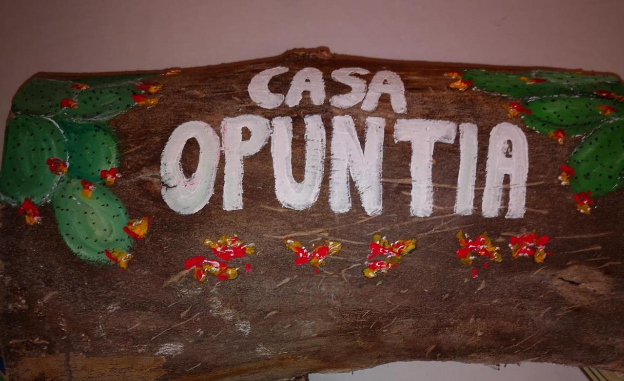 فيلا Casa Opuntia Pappaygiannades المظهر الخارجي الصورة