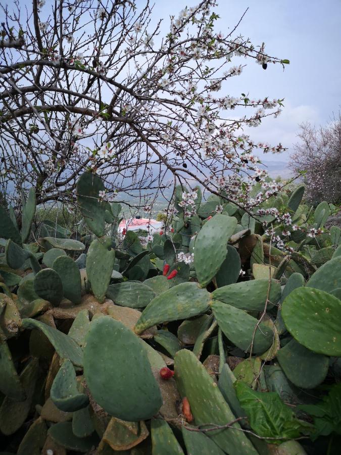 فيلا Casa Opuntia Pappaygiannades المظهر الخارجي الصورة