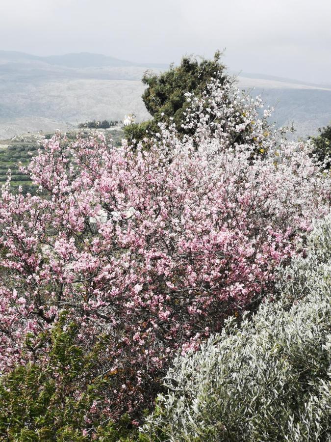 فيلا Casa Opuntia Pappaygiannades المظهر الخارجي الصورة