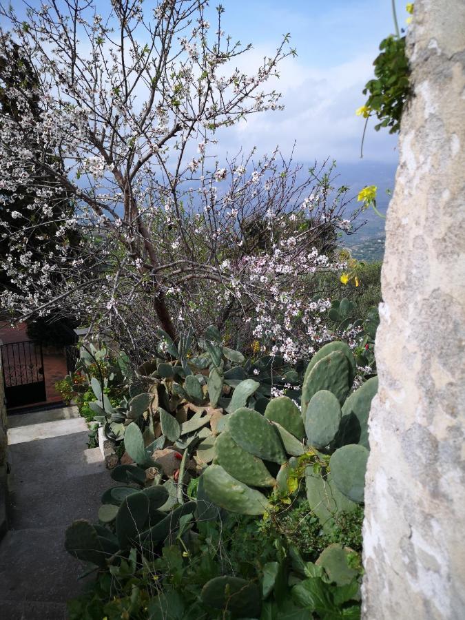 فيلا Casa Opuntia Pappaygiannades المظهر الخارجي الصورة