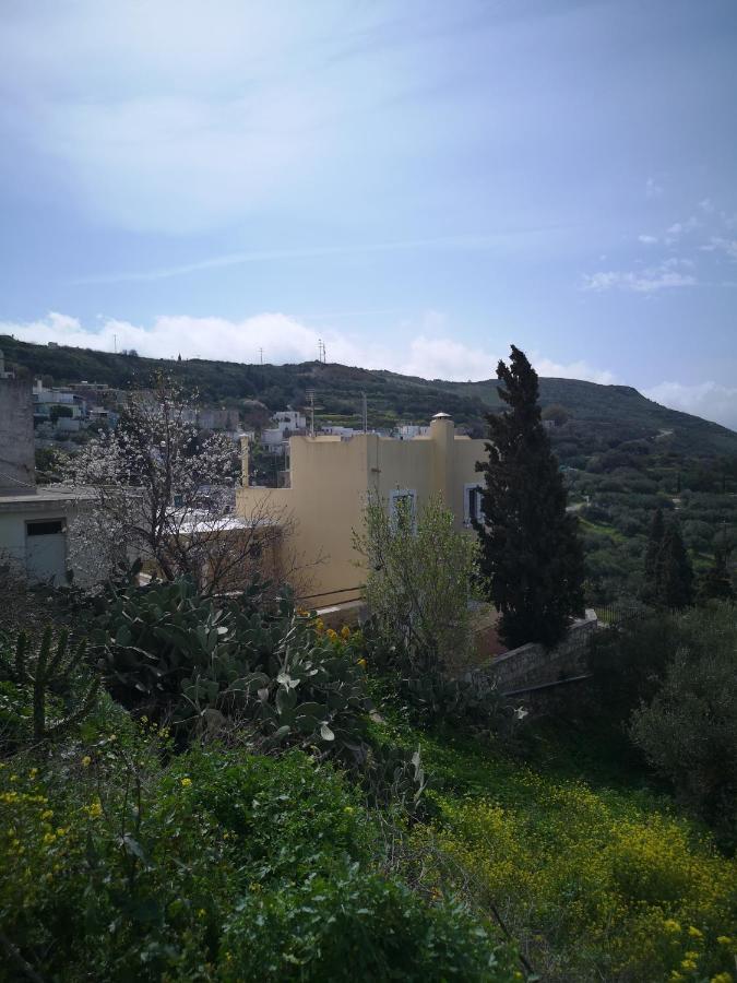 فيلا Casa Opuntia Pappaygiannades المظهر الخارجي الصورة